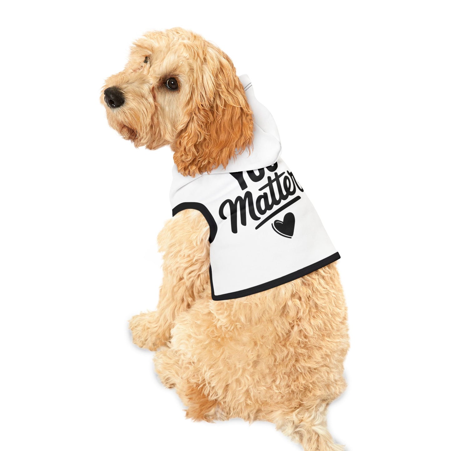Copy of You Matter Pet Hoodie