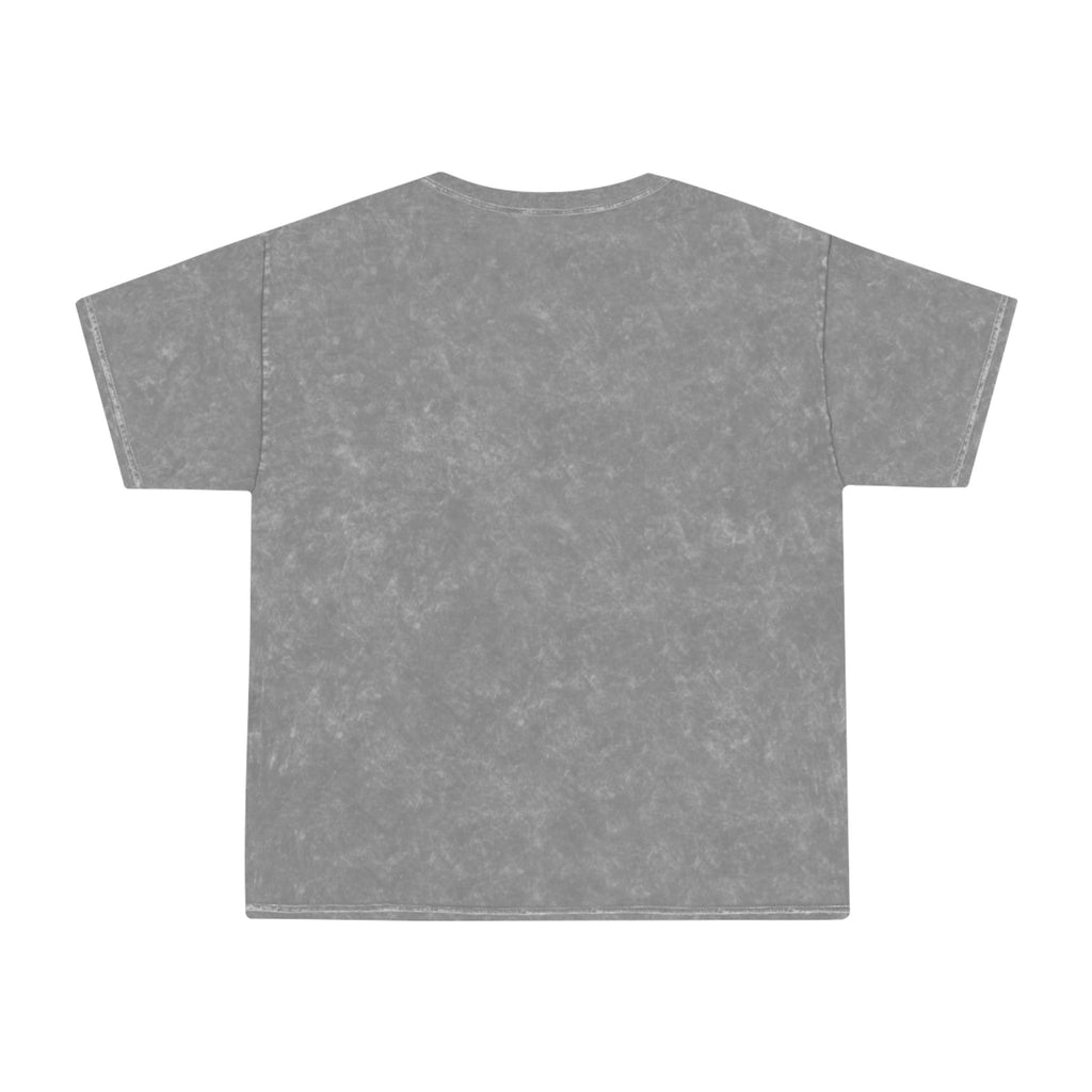 Emotionally Wealthy Unisex Mineral Wash T-Shirt