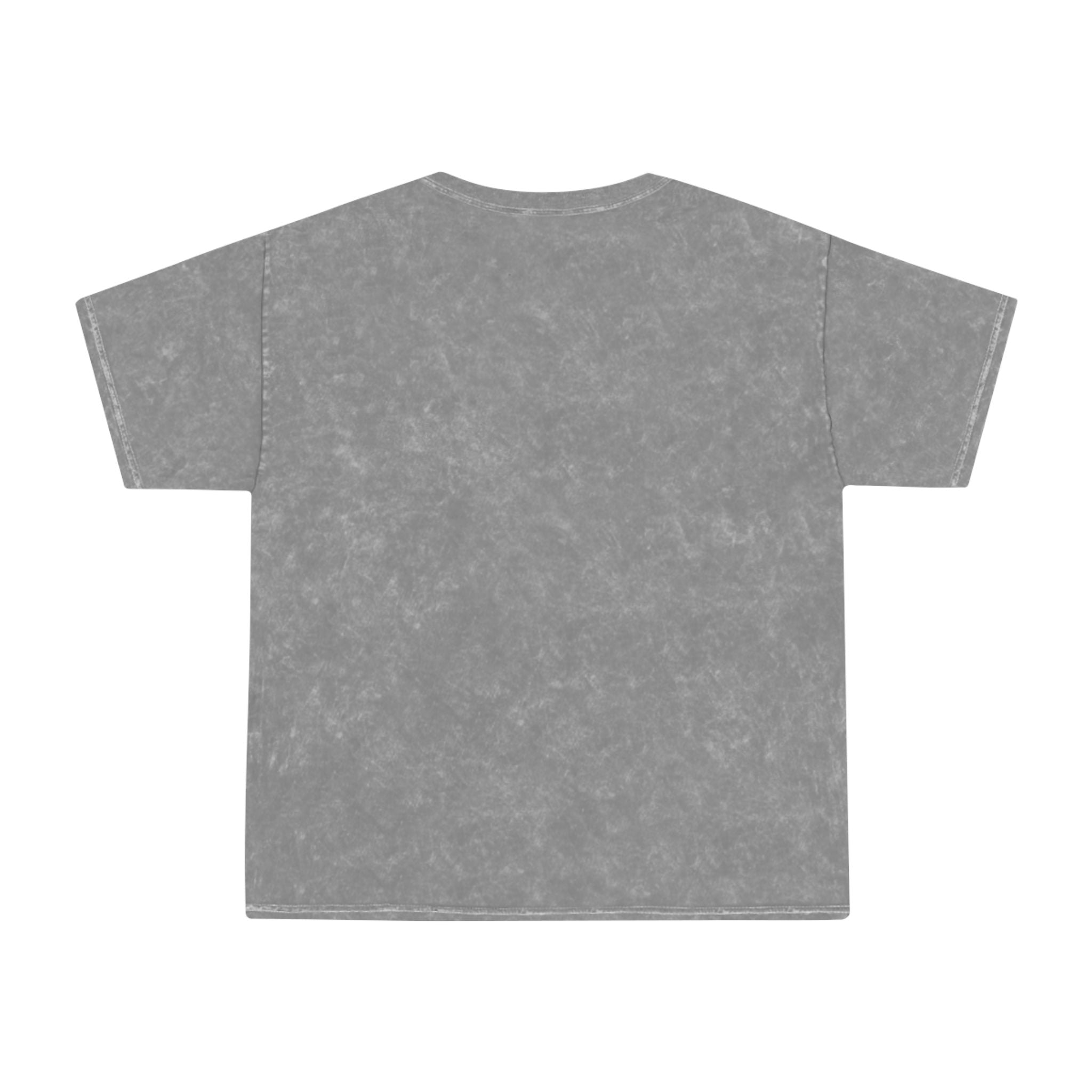 Emotionally Wealthy Unisex Mineral Wash T-Shirt